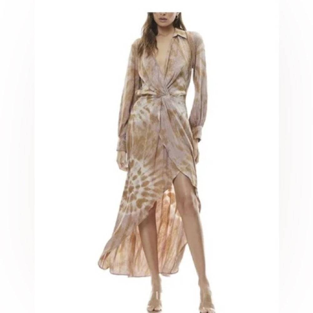 $215 Young Fabulous & Broke Tie-Dye Dress NWOT Size Small